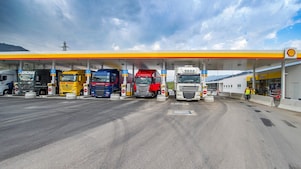 Business customer, supplier, partner or investor